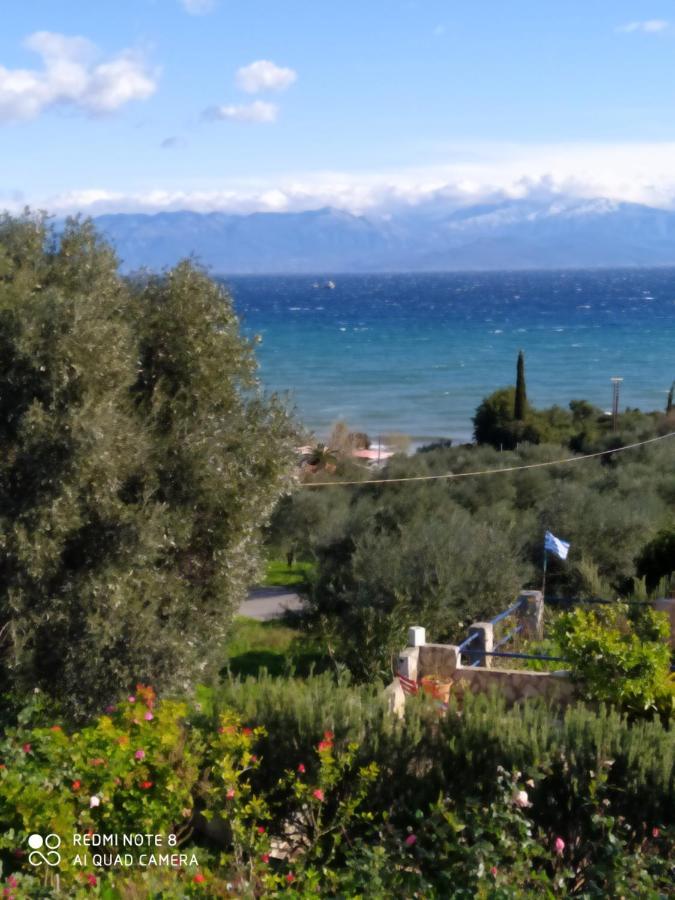 Villa Panorama Michalis Haikos Two Minutes Walk To The Beach Peroulia Kómboi Dış mekan fotoğraf